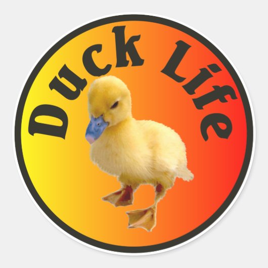 Duck Life Sticker (Voorkant)