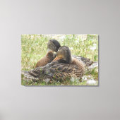 Duck Love Canvas Afdruk (Voorkant)