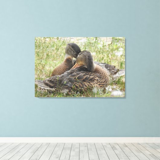 Duck Love Canvas Afdruk (Insitu (Houten vloer))