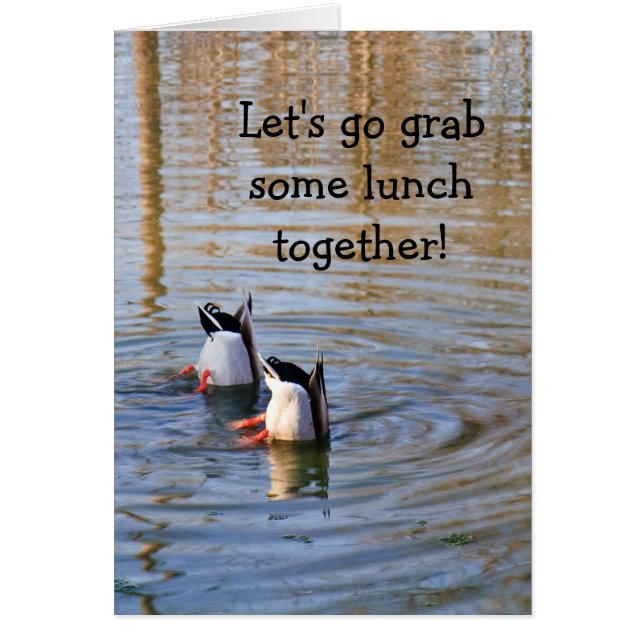 Duck Lunch (Voorkant)