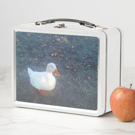 Duck Lunch Box (In situ)