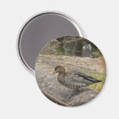 Duck Magnet (Voorkant / Achterkant)