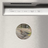Duck Magnet (Insitu (Vaatwasser))