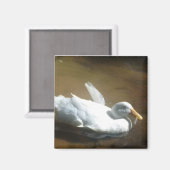 Duck Magnet (Voorkant / Achterkant)