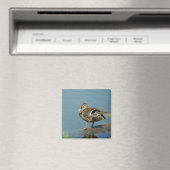 Duck Magnet (Insitu (Vaatwasser))