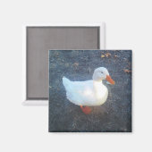 Duck Magnet (Voorkant / Achterkant)