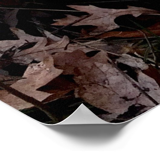 Duck Missile op de lanceringspad Poster (Hoek)