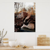 Duck Missile op de lanceringspad Poster (Keuken)