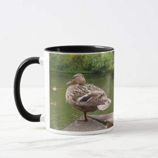 Duck Mok (Links)
