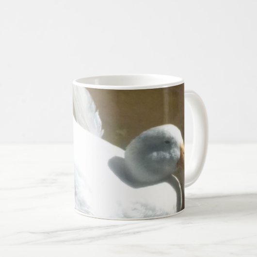 Duck Mok (Voorkant rechts)