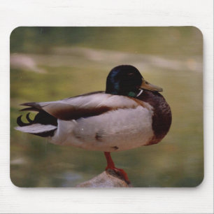 Duck Mousepad Muismat