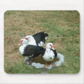 Duck Mousepad Muismat (Voorkant)