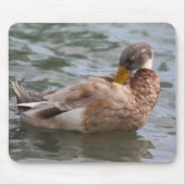 Duck mousepad muismat (Voorkant)