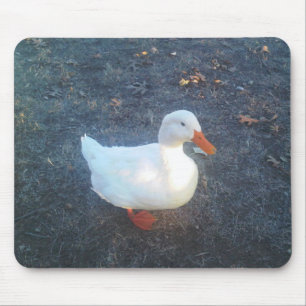Duck Muismat