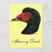 Duck: Muscovy Head Briefkaart (Voorkant)