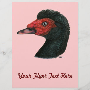 Duck: Muscovy Head Flyer