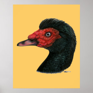 Duck: Muscovy Head Poster