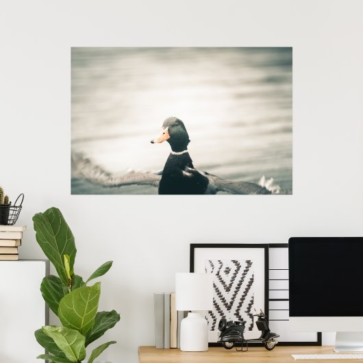 Duck Natuur Photo Poster (Thuiskantoor)