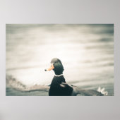 Duck Natuur Photo Poster (Voorkant)