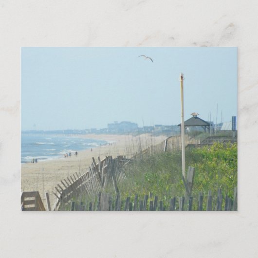 Duck North Carolina Coastline Briefkaart (Voorkant)