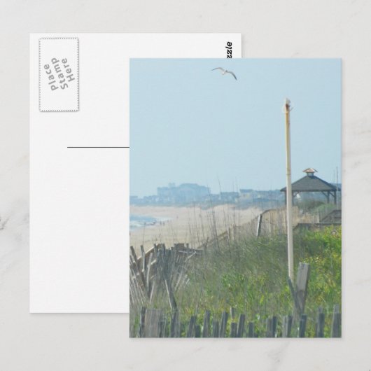 Duck North Carolina Coastline Briefkaart (Voorkant / Achterkant)