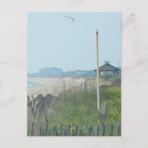 Duck North Carolina Coastline Briefkaart