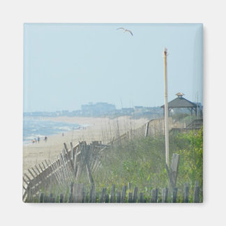 Duck North Carolina Coastline Magneet