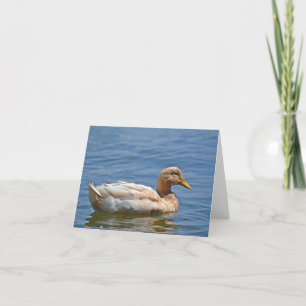 Duck Notecard Kaart