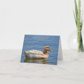 Duck Notecard Kaart (Voorkant)