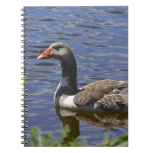 Duck Notitieboek