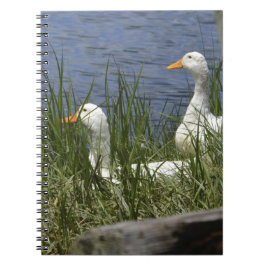 Duck Notitieboek