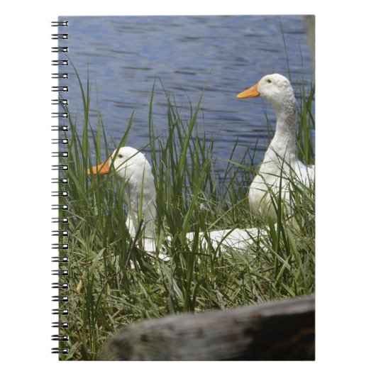 Duck Notitieboek (Voorkant)