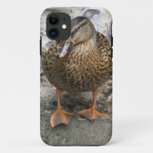 Duck on a Wall iPhone Case
