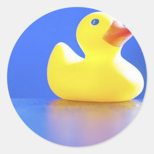 Duck on Blue Ronde Sticker
