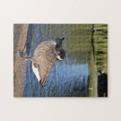 Duck on the Water Bird Natuur Photography Legpuzzel (Horizontaal)