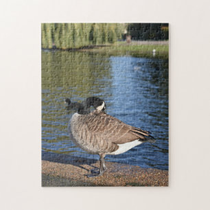 Duck on the Water Bird Natuur Photography Legpuzzel