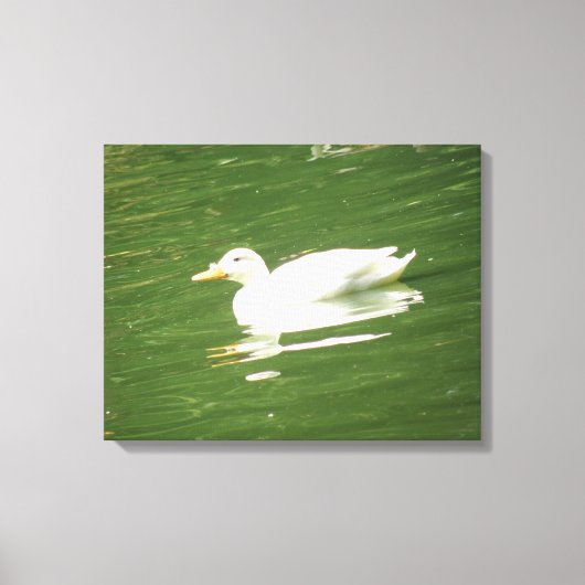 Duck on the Water Canvas Print (Voorkant)