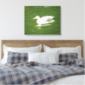 Duck on the Water Canvas Print (Insitu (Slaapkamer))