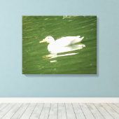 Duck on the Water Canvas Print (Insitu (Houten vloer))