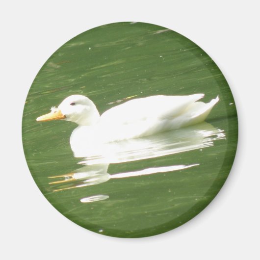 Duck on the water Magnet (Voorkant)