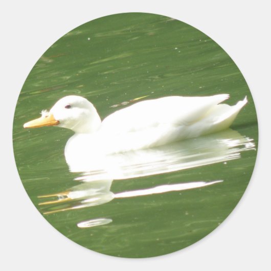 Duck on the water Sticker (Voorkant)