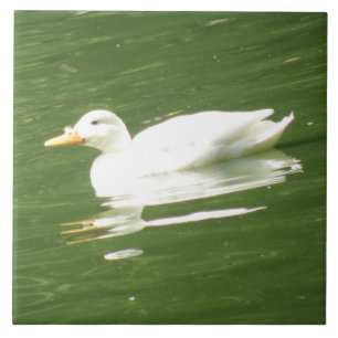 Duck on the Water Tile Tegeltje