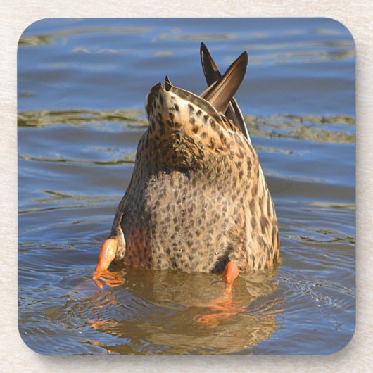 Duck Onderzetter (Voorkant)