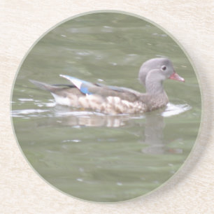 Duck op de Onderzetters van het meer