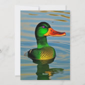 Duck op de vijver Design Feestdagenkaart (Achterkant)
