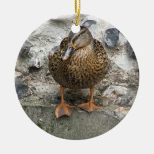 Duck op een Wall Ornament