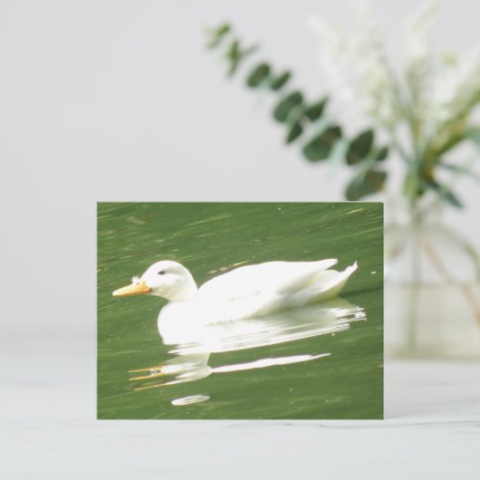 Duck op het Briefkaart water (Staand voorkant)