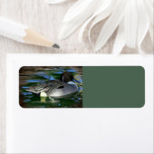 Duck op het meer etiket (Insitu)