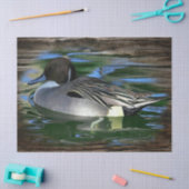 Duck op het meer tissuepapier (Craft)