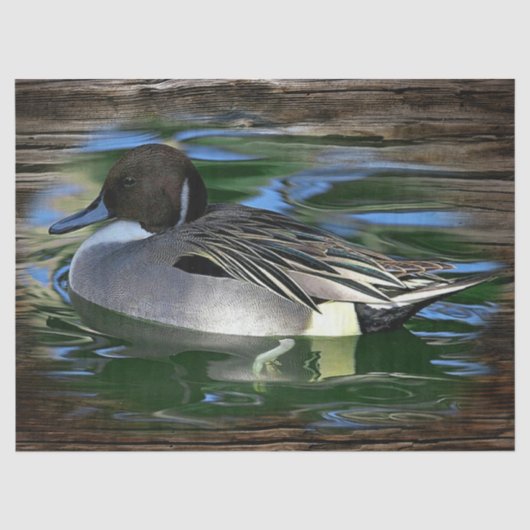 Duck op het meer tissuepapier (Voorkant)